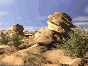 Velký náhled - náhled