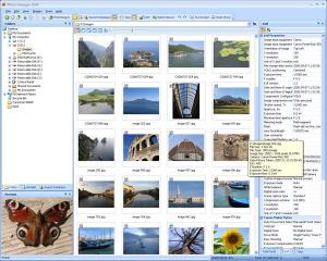 Photo Manager 2008 Standard Version 1.0 Release 2 - náhled