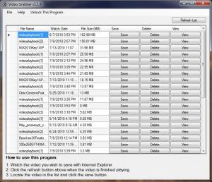 Video Grabber 1.3.0 - náhled