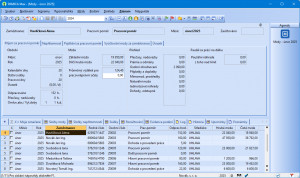 Personalistika a mzdy PAMICA - náhled