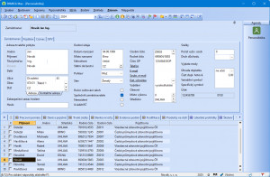 Personalistika a mzdy PAMICA - náhled