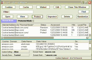 PurgeIE 9.02 - náhled