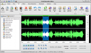 Total Recorder Editor 14.5.2 - náhled