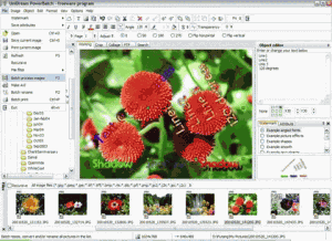 Velký náhled - náhled