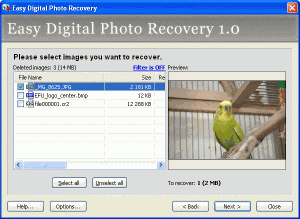 Easy Digital Photo Recovery 3.0 - náhled