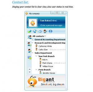 BigAnt Office Messenger 2.91 - náhled