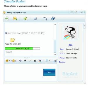 BigAnt Office Messenger 2.91 - náhled