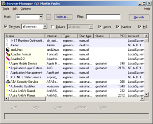 Service Manager 4.6 - náhled
