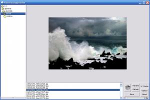 Plumeria Image Sorter 1.0.7 - náhled