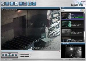 Blue Iris 3 - náhled