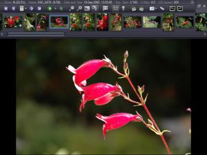 ExifPro Image Viewer 1.0.12 - náhled