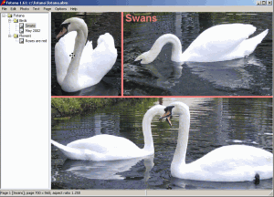 Velký náhled - náhled