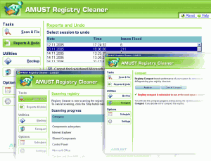 AMUST Registry Cleaner 4.0 - náhled