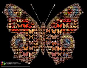 Artensoft Photo Collage Maker 1.1 - náhled