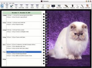 Kalendra 2.0.3 - náhled