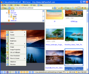 WinTrezur Portable 1.1.0 - náhled