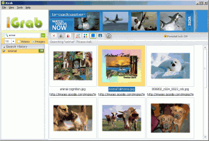 iGrab 1.0.6984 - náhled