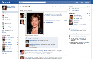 Facebook Photo Zoom 1.1106.17.1 - náhled