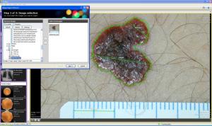 Ginkgo CADx Portable 2.10.0 - náhled