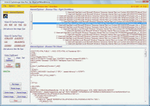 Vista IE CacheImage View Plus 1.5 - náhled