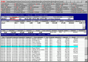 Podvojné účetnictví Profesionál 2015 - náhled
