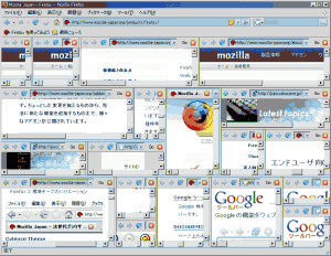 Split Browser 0.6.2 - náhled