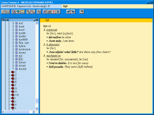 Zobrazené hlavní heslo - náhled