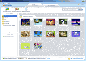 Magentic by IncrediMail 1.31 build 955 - náhled