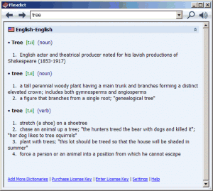 Flexdict 1.6.0 - náhled
