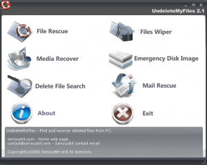 UndeleteMyFiles 2.9 - náhled