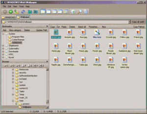 Velký náhled 1 - náhled