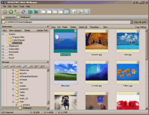 Velký náhled 2 - náhled