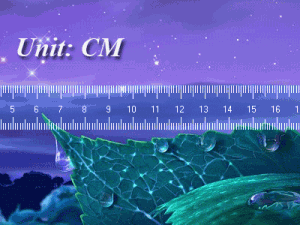 Clever Ruler 4.0 - náhled