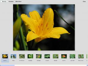 MySlideShow 3.5.6 - náhled