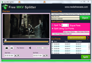 Free MKV Splitter 1.0 - náhled