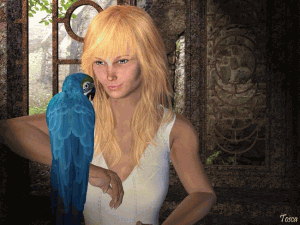 Velký náhled - náhled