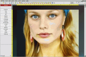 Fine Arts Toolbox 6.4 - náhled