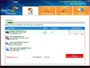 Reg Pro Cleaner 2.0.0.0 - náhled