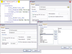 PIM Xtreme 0.10.0 - náhled