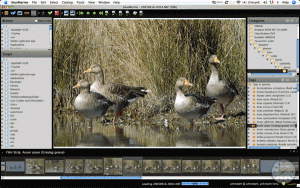 blueMarine 0.9 - náhled