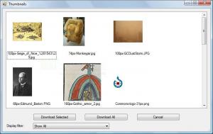 Web Album Copier 0.3.35 beta - náhled