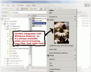 Velký náhled - náhled