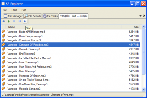 SE-Explorer 1.31.1 - náhled