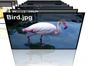 3D Picture Browser 1.0 - náhled