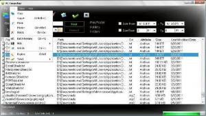 PC FSearcher 5.0.2.0 - náhled
