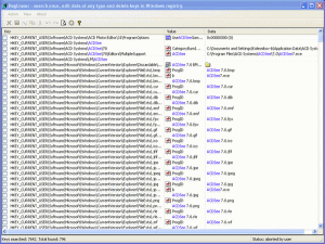 RegEraser 2.0.1.3 - náhled