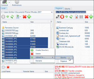 QuantumFTP Portable 1.66 - náhled