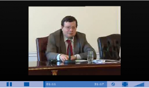 Neternity Flash Media Player 1.7.7 - náhled