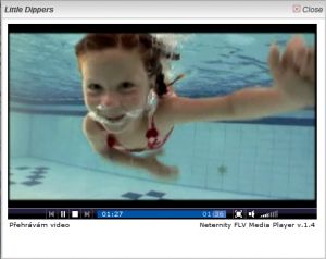 Neternity Flash Media Player 1.7.7 - náhled