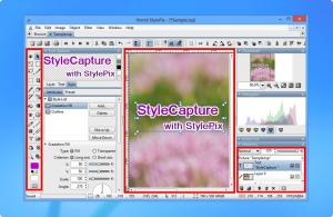 Hornil StyleCapture 1.2.1.0 - náhled